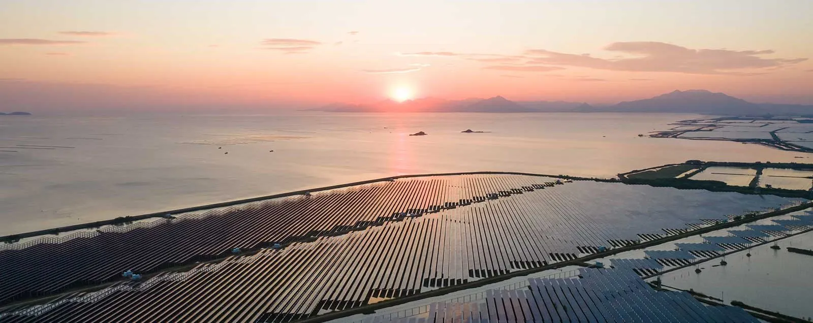 Energía Nearshore: La Innovadora Solución que Revoluciona la Generación Renovable Cerca de la Costa